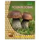 Подберезовик Поиск № 1