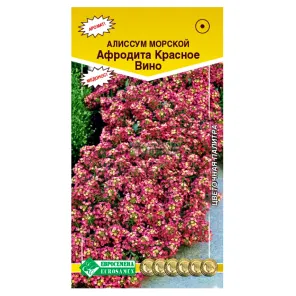 Алиссум морской Афродита Красное вино Евросемена