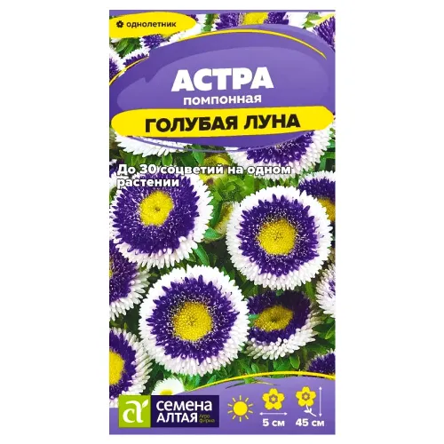 Астра помпонная Голубая луна Семена Алтая