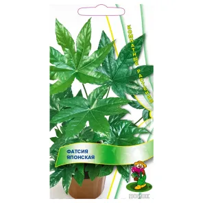 Фатсия японская Поиск