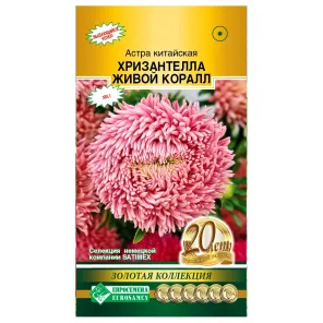 Астра китайская Хризантелла Живой коралл Евросемена