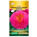 Астра китайская Хризантелла Сердце дракона Евросемена № 1