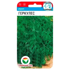 Укроп Геркулес Сибирский сад
