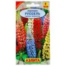 Люпин Руссель, смесь окрасок Аэлита № 1