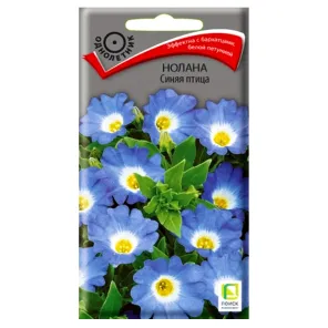 Нолана Синяя птица Поиск