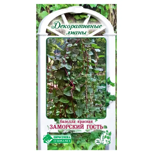 Базелла красная Заморский гость Евросемена