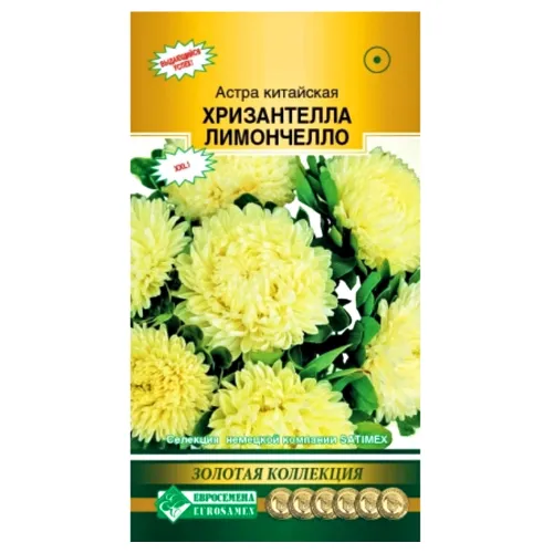 Астра китайская Хризантелла Лимончелло Евросемена