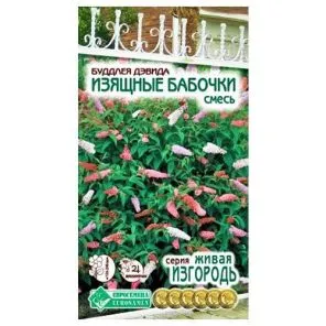 Буддлея Давида Изящные бабочки, смесь окрасок Евросемена