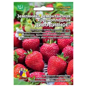 Земляника ремонтантная Диво дивное Уральский дачник