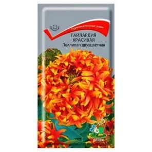 Гайлардия красивая Лоллипап двухцветная Поиск