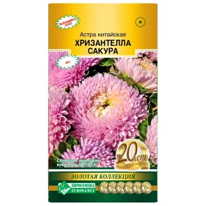 Астра китайская Хризантелла Сакура Евросемена