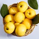 Яблоня Китайка золотая ранняя № 2