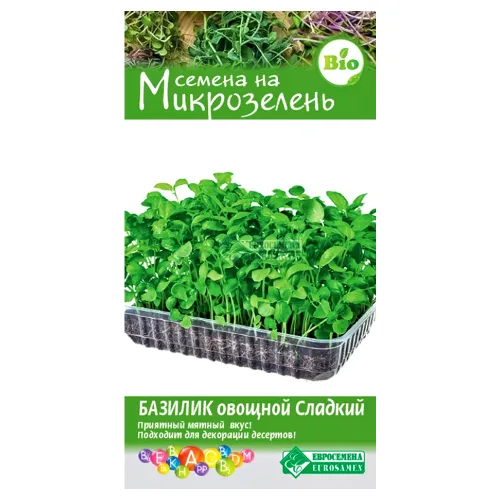 Микрозелень Базилик зеленый Сладкий Евросемена