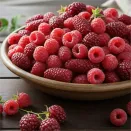 Сверхвыгода! Комплект малины "Малиновая коллекция" из 3 сортов № 1