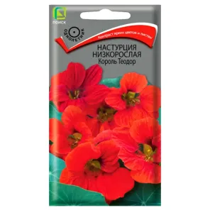 Настурция низкорослая Король Теодор Поиск
