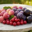 Сверхвыгода! Комплект экзотических гибридов "Феноменально вкусно" из 4 сортов № 1