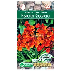 Хейрантус (желтушник) Красная королева Евросемена