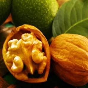 Орех грецкий карликовый скороплодный Кочерженко