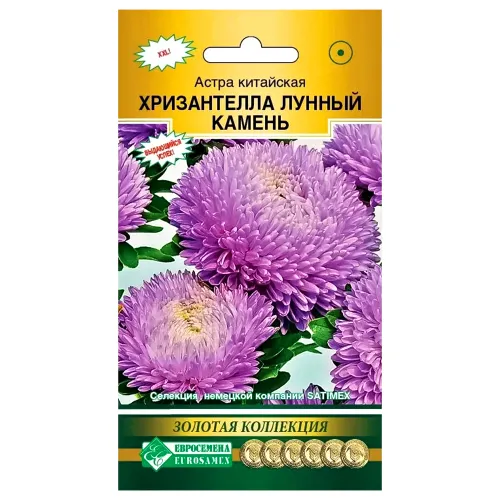 Астра китайская Хризантелла Лунный камень Евросемена