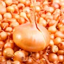 Лук-севок Штутгартен Ризен № 1