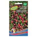 Клюква Бен Лир Уральский дачник № 1