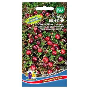 Клюква Бен Лир Уральский дачник
