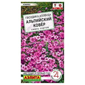 Гвоздика аллвуда Альпийский ковер, смесь сортов Аэлита