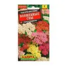 Тысячелистник Волшебные сны, смесь окрасок Аэлита № 1