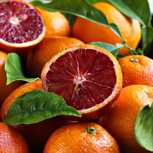 Апельсин комнатный для начинающих Сангвинелли