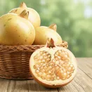 Гранат сладкий Желтый № 1