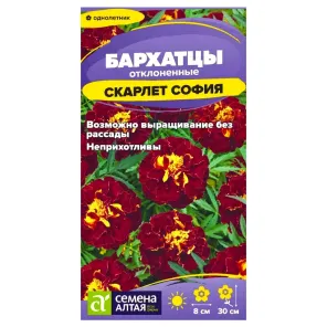 Бархатцы махровые Скарлет София Семена Алтая