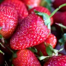 Земляника крупноплодная с ароматом малины Элоди, 5 саж. № 2