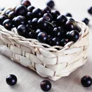 Смородина черная сверхурожайная Сокровище № 1