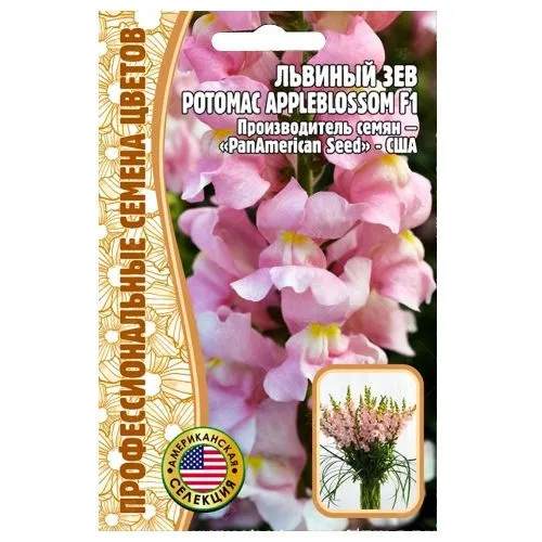 Львиный зев Potomac Appleblossom F1 Редкие семена