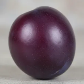 Нектаприум (гибрид нектарина и сливы)