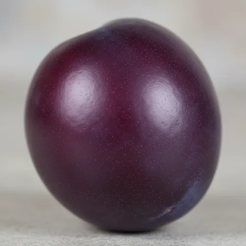 Нектаприум (гибрид нектарина и сливы)