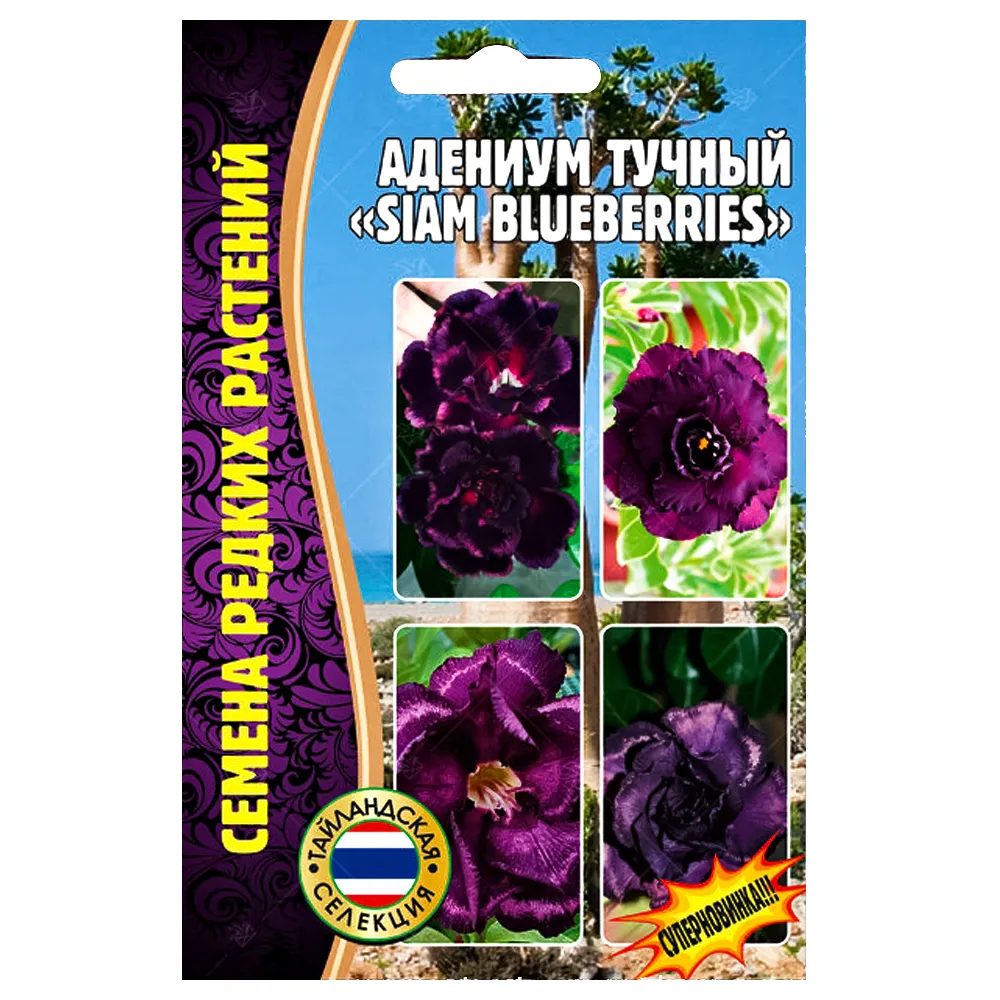 Адениум Siam Blueberries Редкие семена № 1