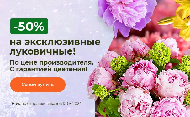 -50% на эксклюзивные луковичные! По цене производителя. С гарантией цветения!