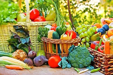 Как защитить овощи от болезней: полная инструкция для огородника