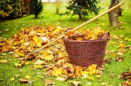 Чем обработать свой сад осенью?